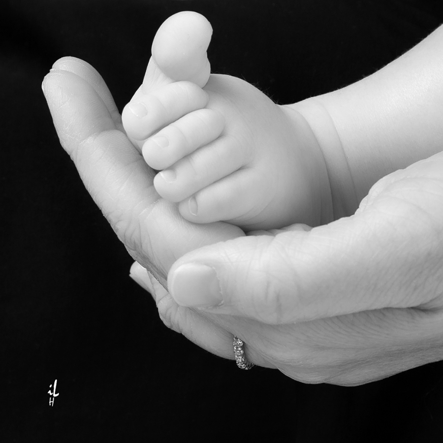 Isabelle Larrey Photographe Photographe Dinan Balthazar 1067 Sur 115