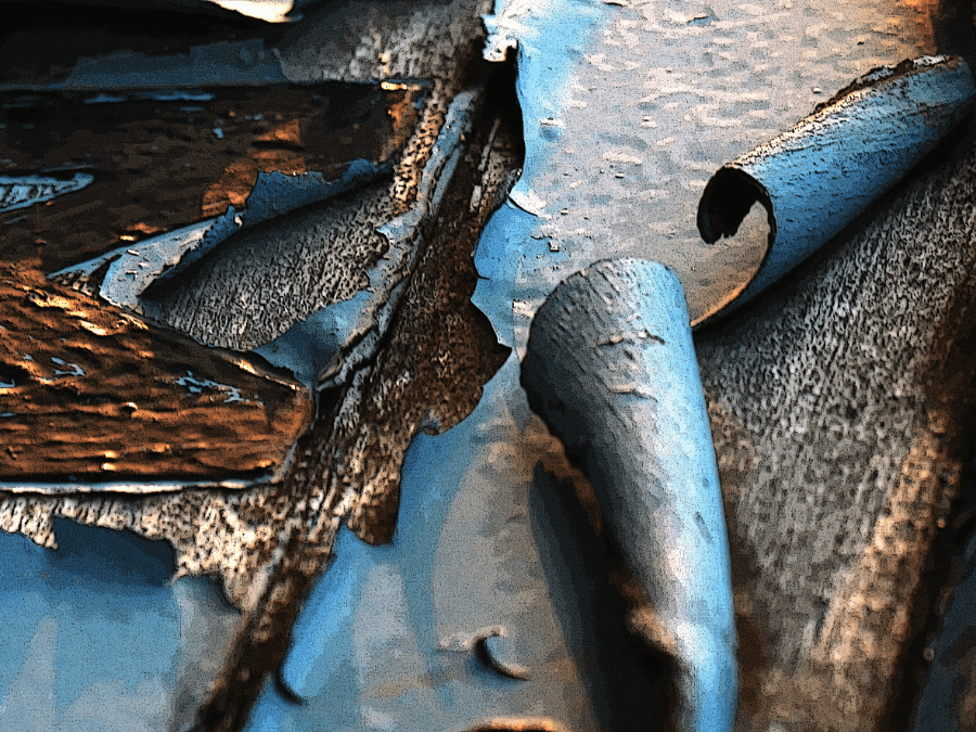 Isabelle Larrey Photographe Photographe Dinan Coque 3 Optimized