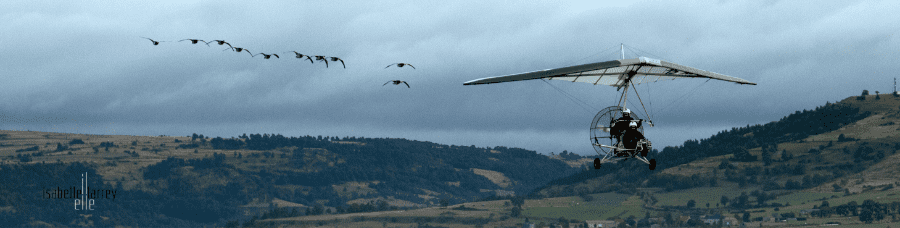 Isabelle Larrey Photographe Photographe Dinan Oies 1020 Sur 39 Optimized